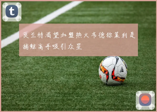 莫兰特渴望加盟热火韦德称莱利是捕鲸高手吸引众星