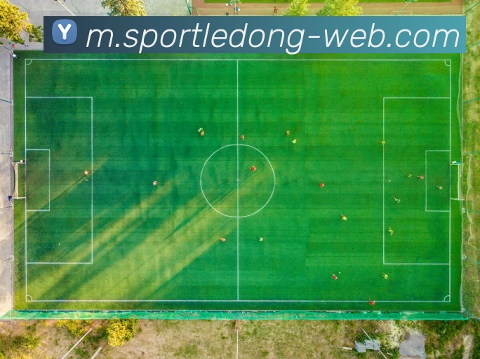 乐动体育APP 高清赛事图