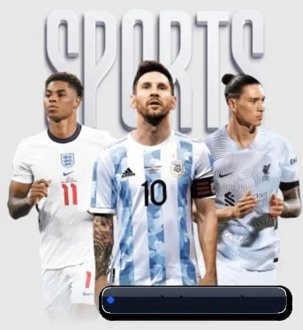每个板块围绕一个运动项目展开 | LDSPORTS